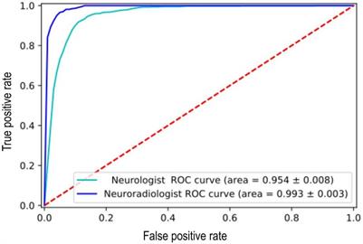 Factors affecting the labelling accuracy of brain MRI studies relevant for deep learning abnormality detection